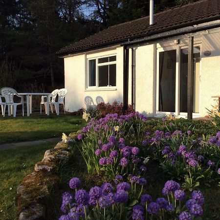 Dalkell Cottages タインドラム エクステリア 写真