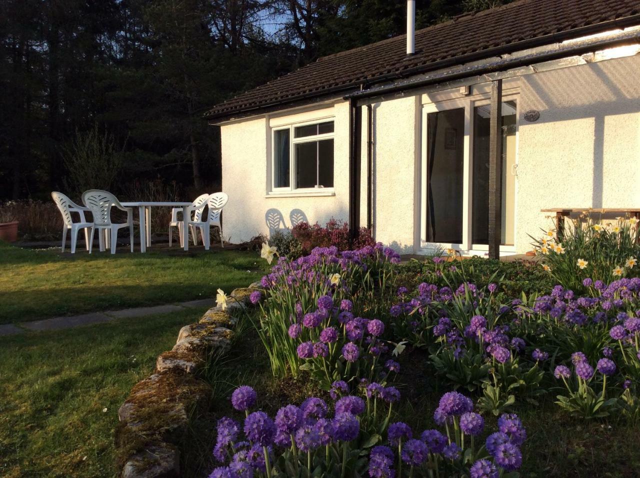 Dalkell Cottages タインドラム エクステリア 写真